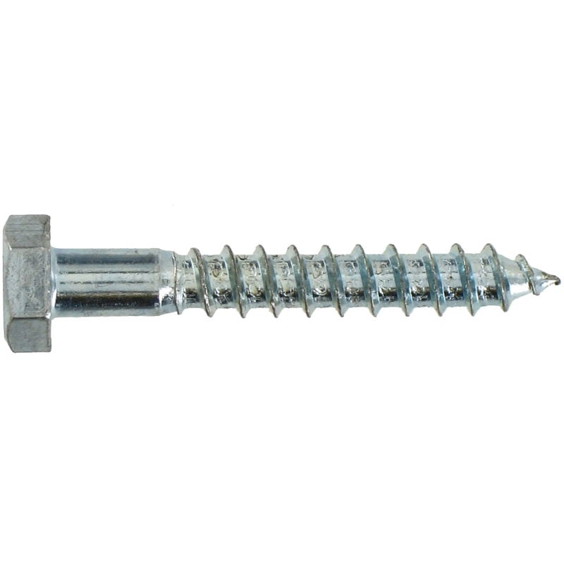 Tirefond acier zingué 8x60 Vybac 50 pce Vynex