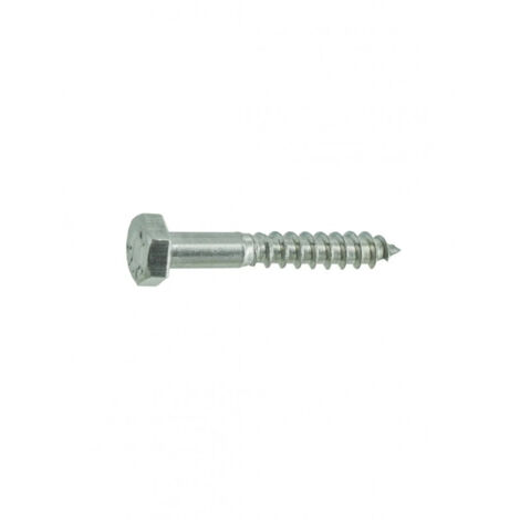 Tirefond Inox A2 8x60 Sécurisac 4 Pce - Vynex