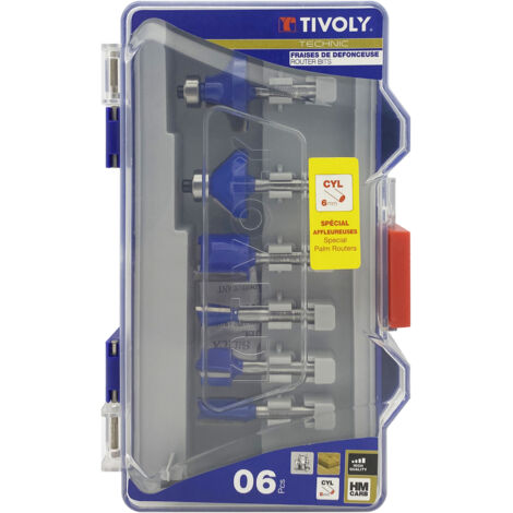 Tivoly • Caja de 6 fresas de formas variadas con mango de 6 mm