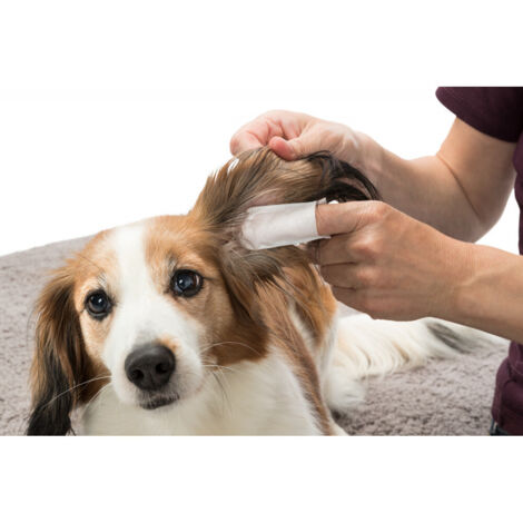 Toallitas húmedas Trixie para el cuidado de los oídos de perros y gatos.