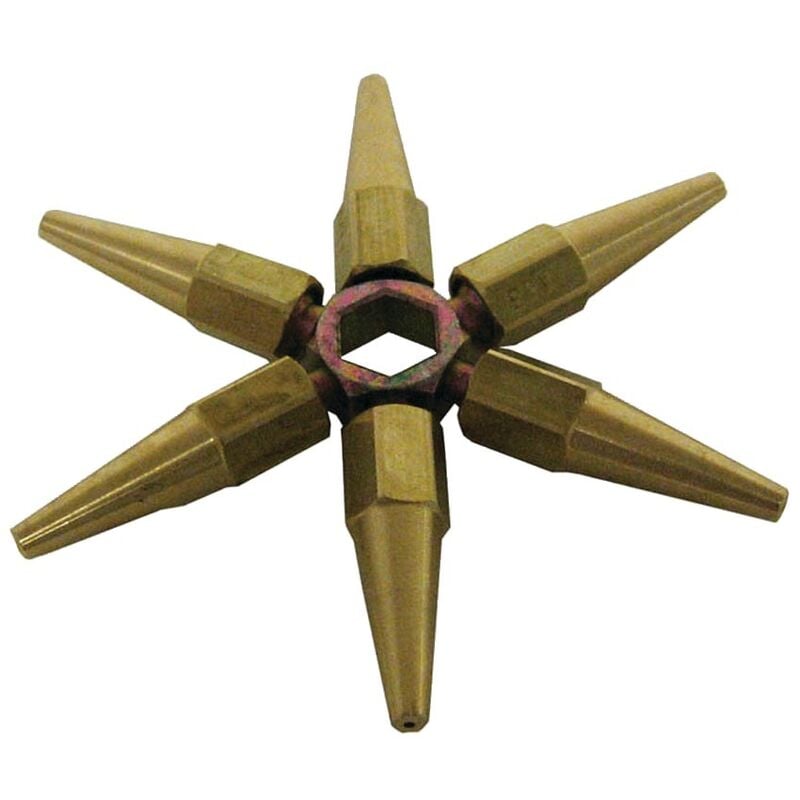 Gce Charledave - toile 6 becs n°0 sous coque L192111EMB