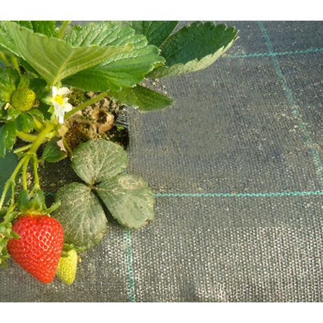 Toile de Paillage 3.30 x 10m Grammage: 130g