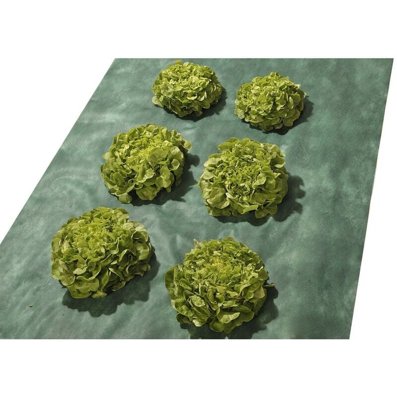 Toile de paillage 1x15 m Toile non tissée avec un traitement anti uv