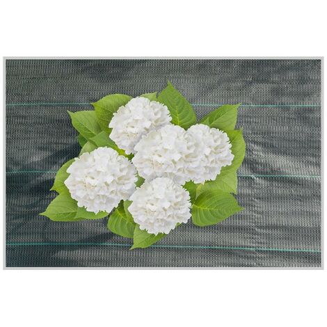 Toile de paillage anti-racines 0,5 x 10 m