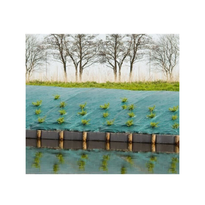 Toile de paillage paysages Nature 2x5m - pp tissé hd - Contre la pousse des mauvaises herbes - Vert