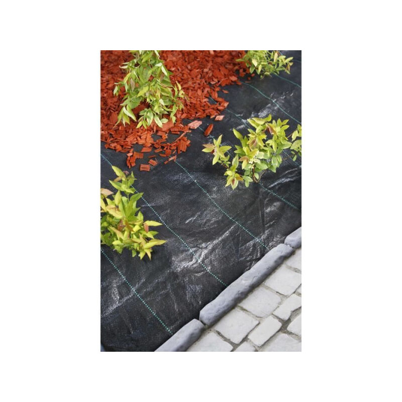 Nature - Bache de sol de controle des mauvaises herbes 3,3x5 m Noir