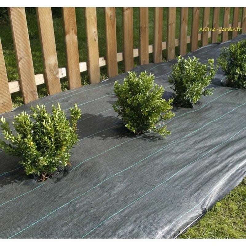 Toile de paillage tissée 'Weedsol' - 1,50 x 100 m - Nortene