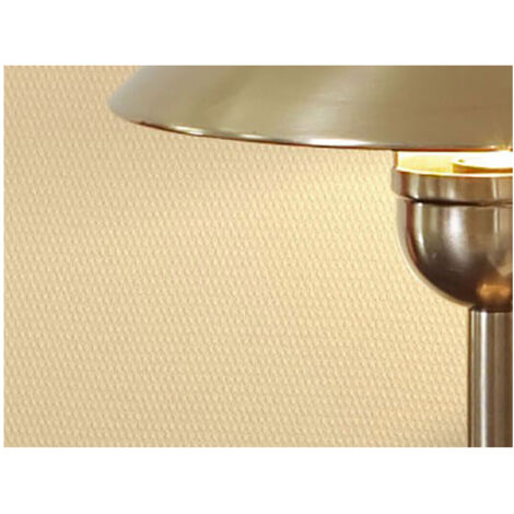 Toile De Verre à Peindre Delzongle Plafond T1006c Rl De 50x1m - Novelio
