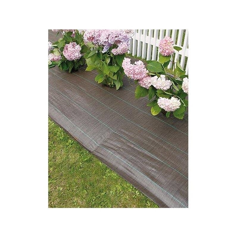 Celloplast - Toile paillage marron 1,25x25m weedsol 90gr-m2 ref 2014538
