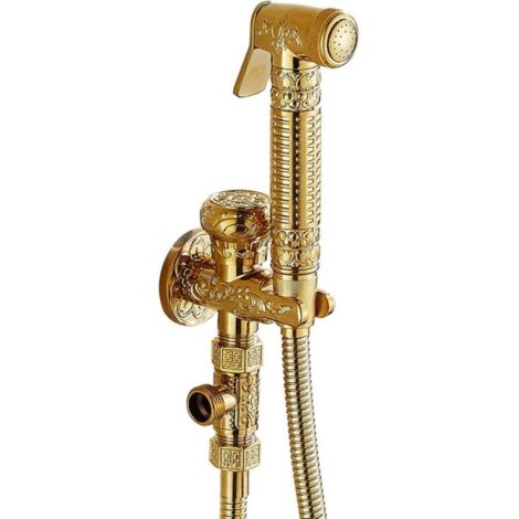 Toilet Spray Bidet - Brass Hand Shower, Wall-Mounted Toilet Spray Kit with Cold Water Mixer Tap, Gold