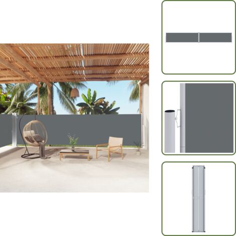 Toldo de privacidad - vidaXL Toldo lateral retráctil antracita 160x1000 cm - Toldo automático