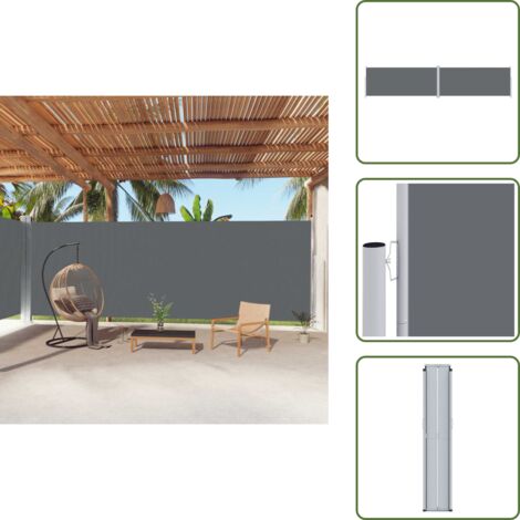 Toldo de privacidad - vidaXL Toldo lateral retráctil antracita 220x1000 cm - Toldo automático