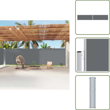 Toldo de privacidad - vidaXL Toldo lateral retráctil antracita 220x1200 cm - Toldo de poliéster