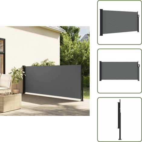 Toldo para terraza - vidaXL Toldo lateral retráctil antracita 100x300 cm - Toldo para balcón