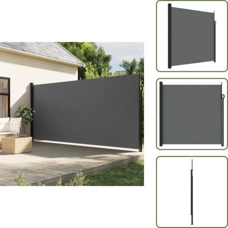 Toldo para terraza - vidaXL Toldo lateral retráctil antracita 200x300 cm - Toldo para balcón