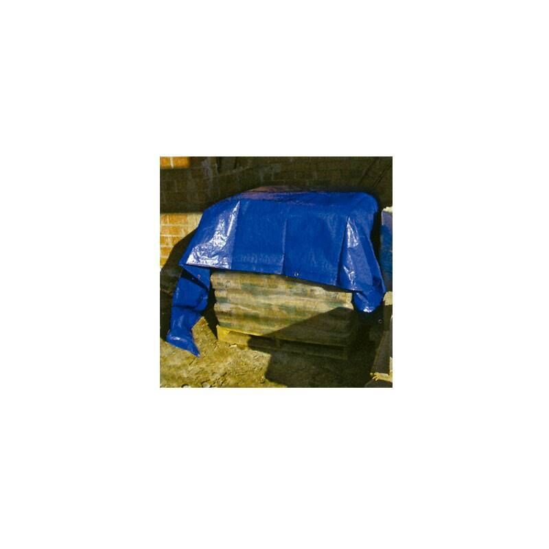 

Toldo Polietileno Standard 2x3m Azul