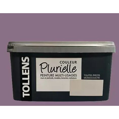 Tollens – Peinture acrylique mate 2,5 L – Application monocouche – Résistance élevée pour murs et plafonds – Couleur Plurielle