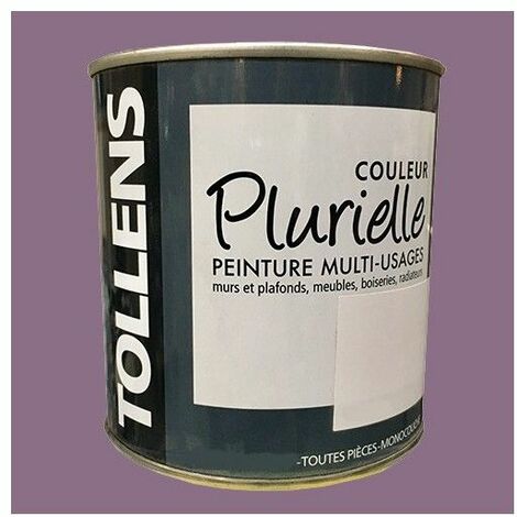 Peinture mur / plafond TOLLENS Tolpro hydro blanc mat, 5 l