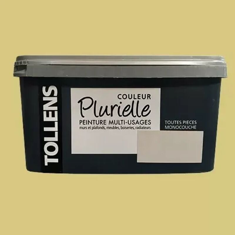 Peinture acrylique multi-usages 'Couleur Plurielle' satin Inattendue 2,5 l - Tollens
