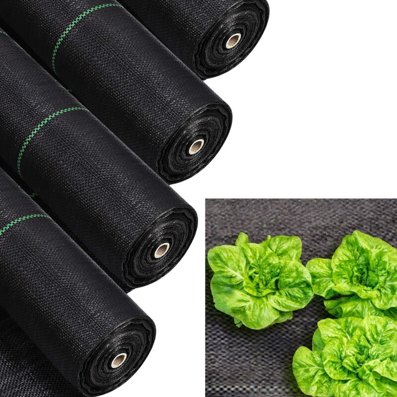 TolleTour 100g/m2 Toiles de Paillage 50m², Anti Mauvaises Herbes Jardin 100g/m2, indéchirable, 2x25m