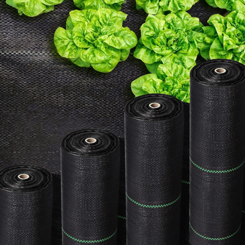 Toile de paillage 4 x 10 m 100g/m² - Bâche géotextile anti uv contre mauvaises herbes - Tolletour