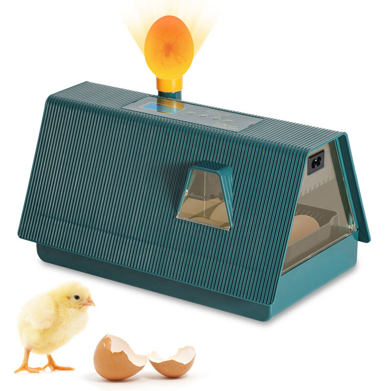 Couveuse Oeuf Automatique 10 Oeufs, Incubateur Oeuf Automatique, Retournement Automatique des œufs et Surveillance de l'humidité, Numérique