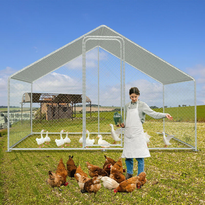 Tolletour - Enclos poulailler Acier galvanisé avec parc grillagé avec serrure espace couvert Poulailler pour petits animaux 3 x 2 x 2 m 6m²