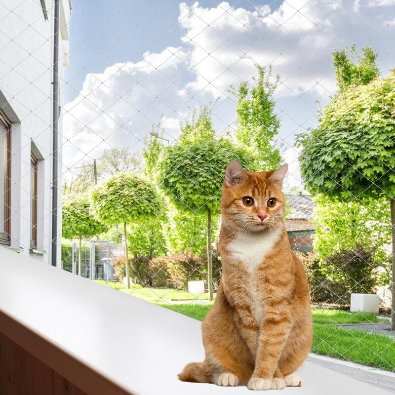 Filet de Protection pour Chat Filet pour chats Autres accessoires pour chats Filet de sécurité Filet de balcon 3x8m - Transparent - Tolletour