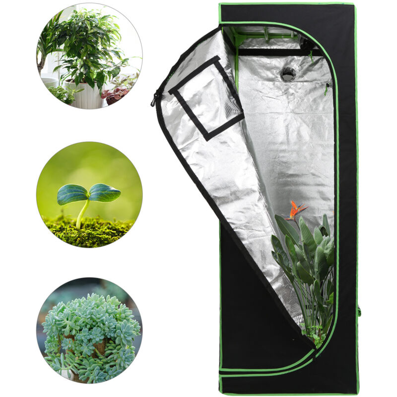 TolleTour Growbox Serre Tente de culture de plantes d'intérieur Tente de culture Armoire de culture Chambre noire Propagateur Armoire de