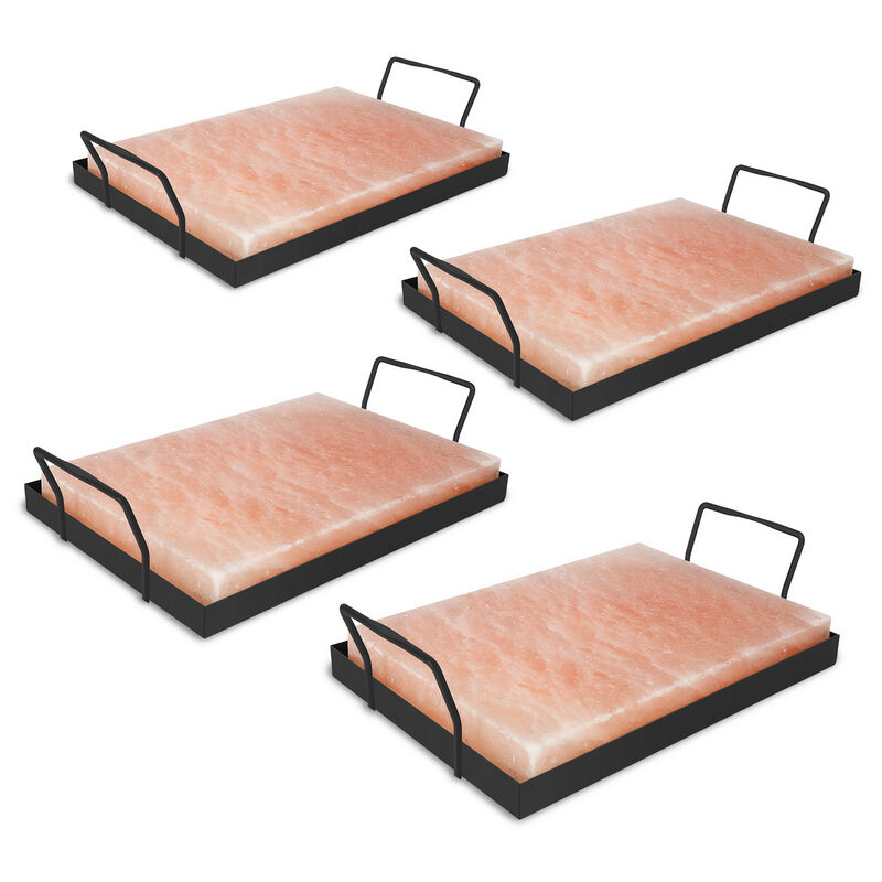 Tolletour - Pierre à sel avec support Pierre à sel pour barbecue xl bbq Set 30x20x3cm Plaque à sel pour repas 4X
