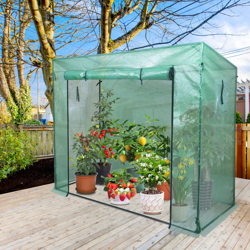 Serre de Jardin, Serre Tomate, Toit Incliné, Anti-Accumulation de Pluie, Cadre métallique, Anti-UV, 200x80x150/169cm, Vert - Tolletour