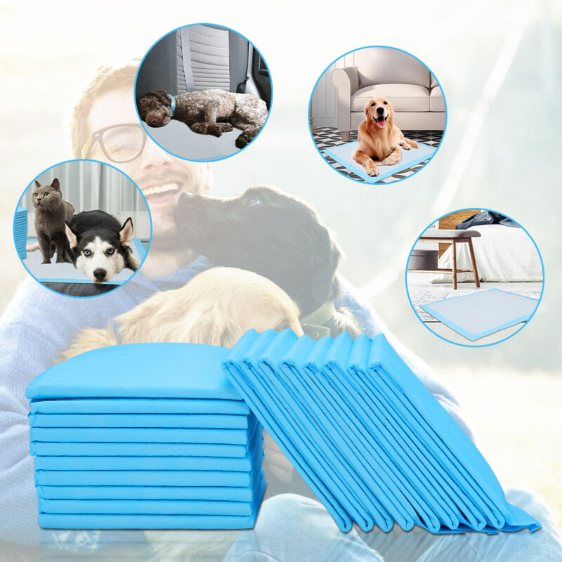 Tapis Absorbant Chien, 120 Pièces, 60 × 60 cm Alaise Jetable Alèse Pipi Propreté Educateur Chien Animaux, Aleze Impermeable, Pee Pad Apprentissage la