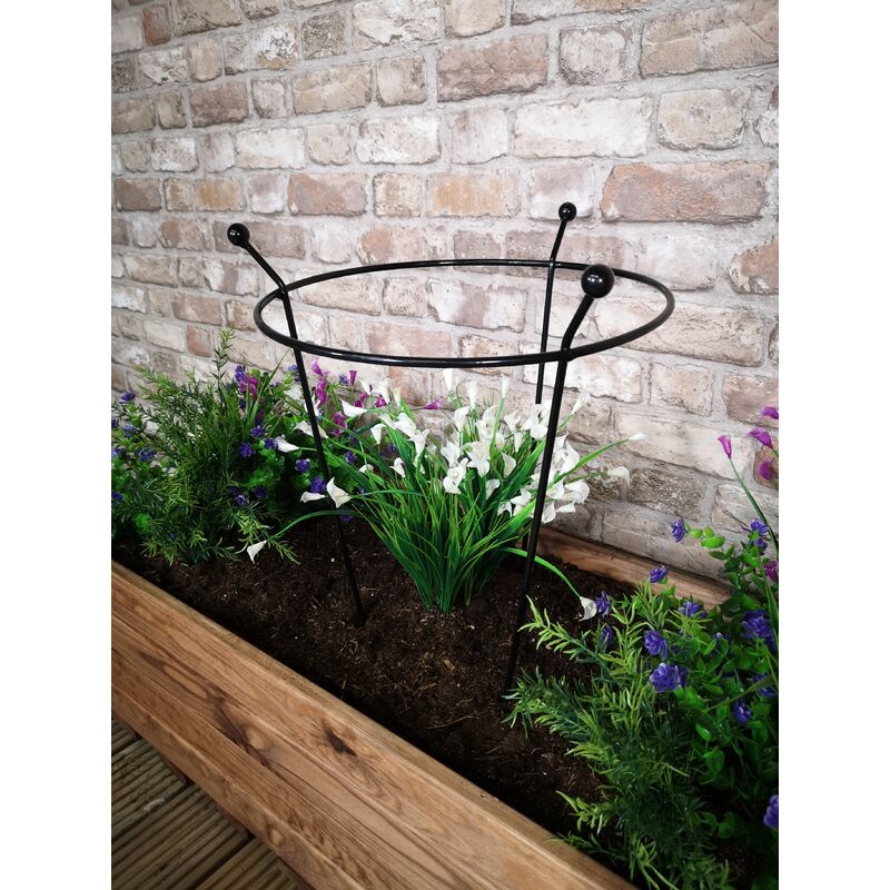 Tom Chambers Cottage Heavy Duty Black Metal Steel Herbaceous Garden Plant Support Ring Small 60cm x 35cm