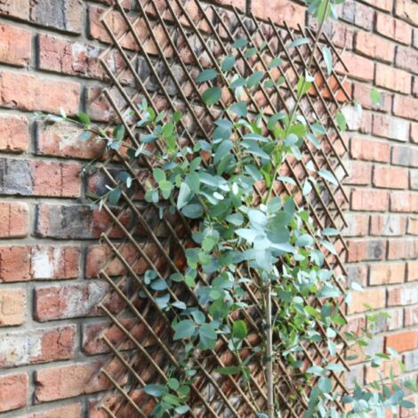 Tom Chambers Expanding Willow Panel 180cm x 60cm Garden Flower Rose Trellis Support