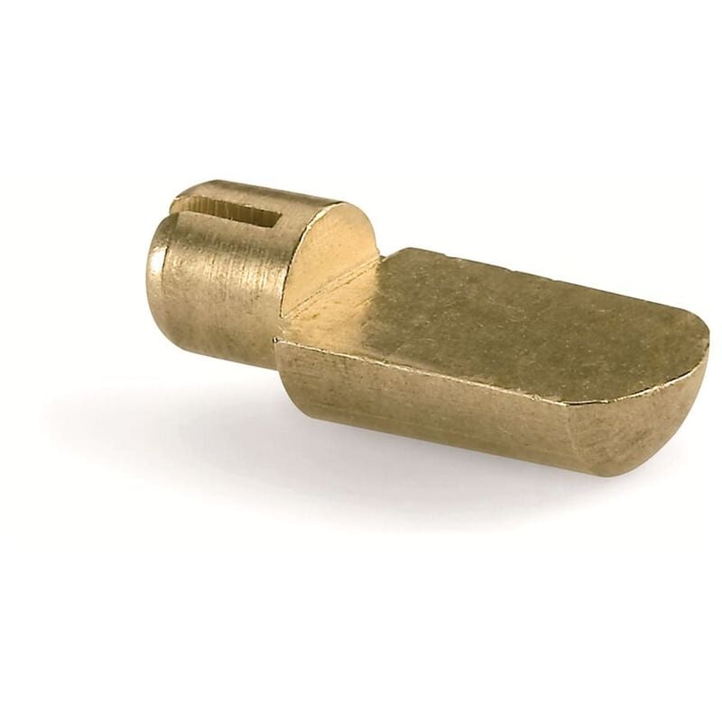 Boîte de: 100 pièces support d'étagère en laiton fraisé bague s. Tomaso