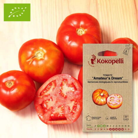 Tomate Amateur's Dream