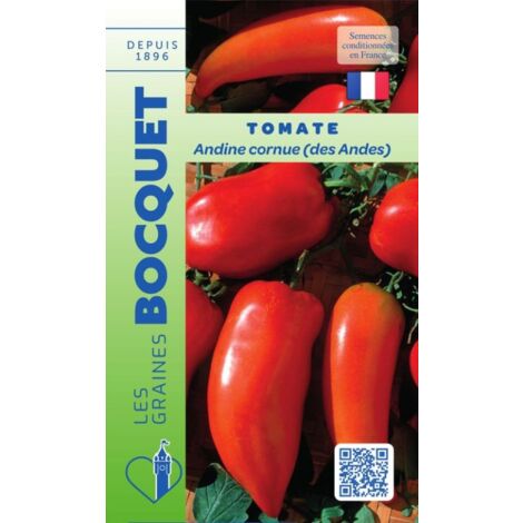 Tomate Andine Cornue – Graines non hybrides – Semis en février-mars – Fruits allongés 80-150g – Chair juteuse et parfumée – Graines Bocquet