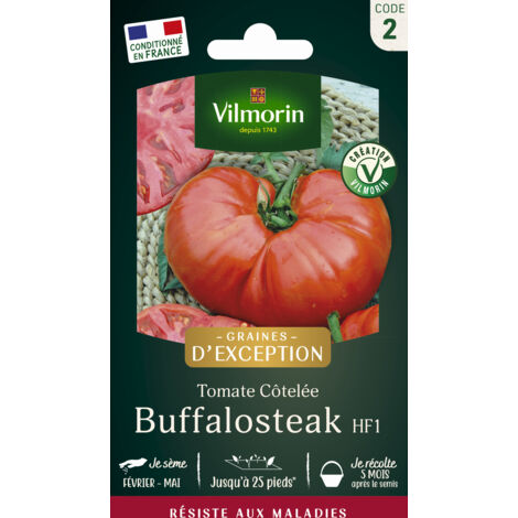 Tomate Buffalo Steak F1 - Graines d'Exception Vilmorin