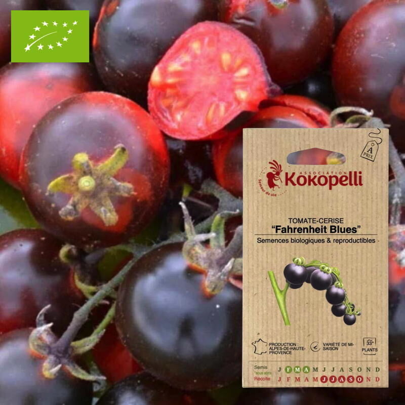 Tomate-Cerise Fahrenheit Blues