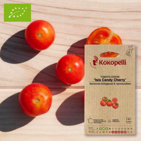 Tomate-Cerise Isis Candy Cherry