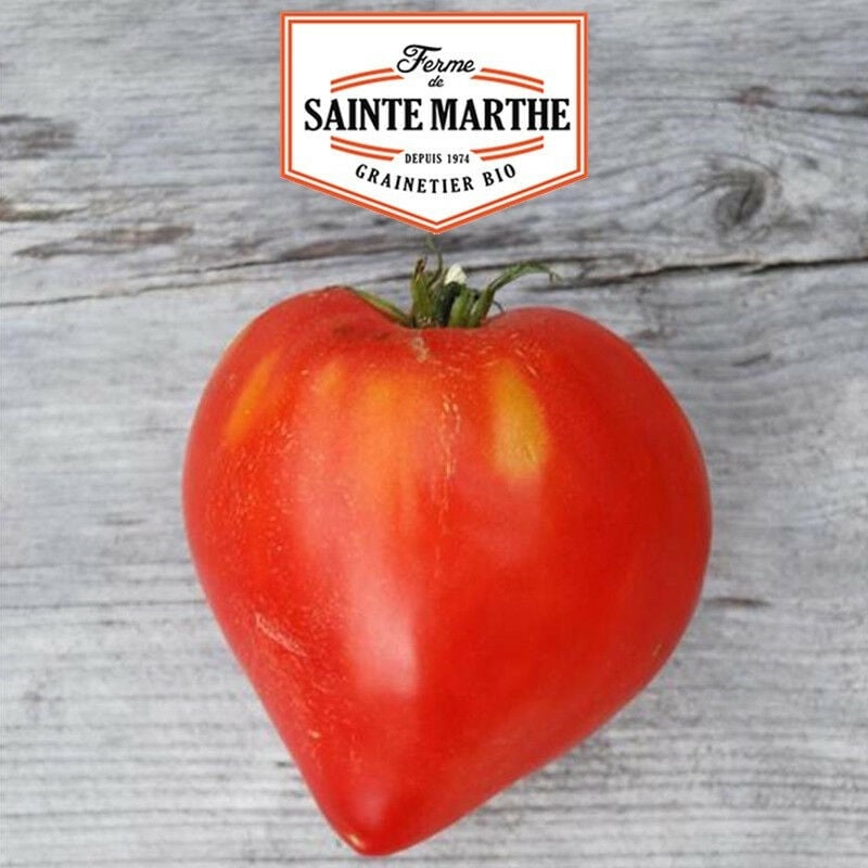 La Ferme Sainte Marthe - Tomate Coeur - 50 graines