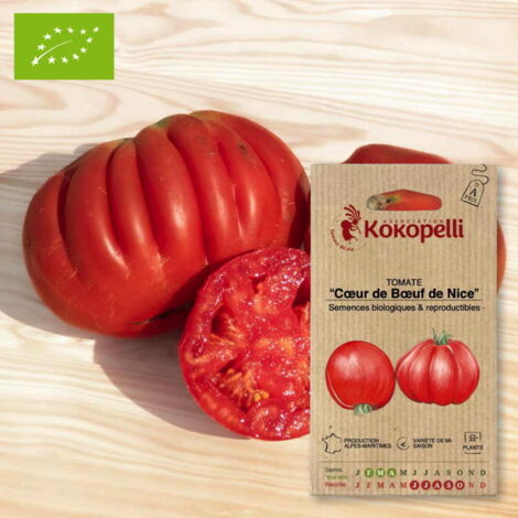 Tomate Cœur de Bœuf de Nice