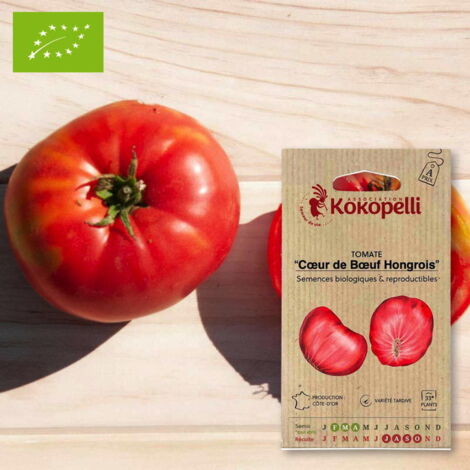 Tomate Cœur de Bœuf Hongrois