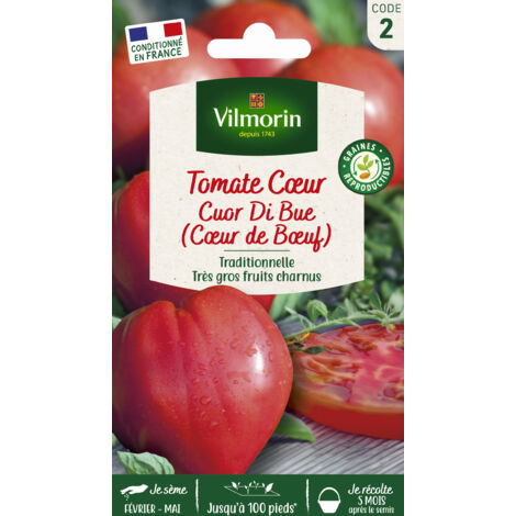 Tomate Cuor Di Bue (Cœur de Bœuf) Vilmorin