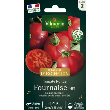 Tomate Fournaise F1 - Graines d'Exception Vilmorin