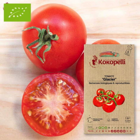Tomate Glacier
