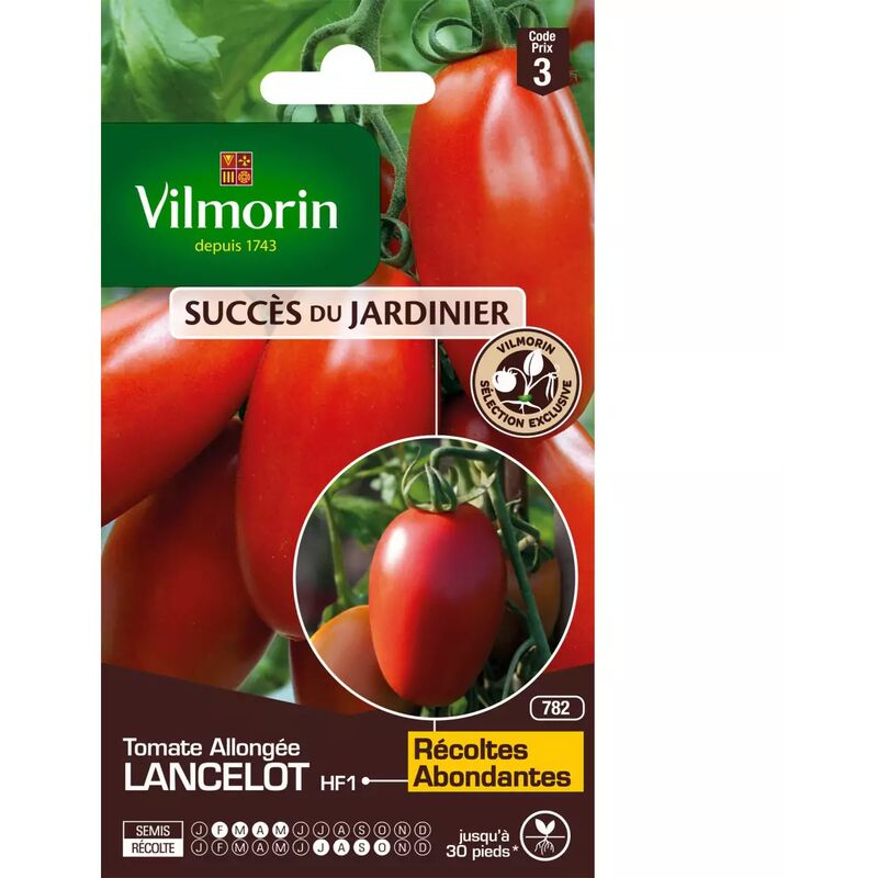Vilmorin - Sachet graines Tomate Allongée Lancelot HF1