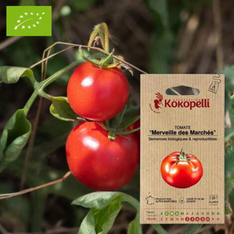 Tomate Merveille des Marchés