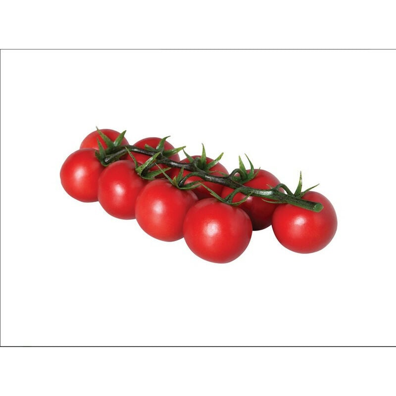 Catral - Tomate mûre Tama
