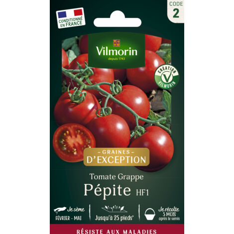 Tomate Pépite F1 - Graines d'Exception Vilmorin